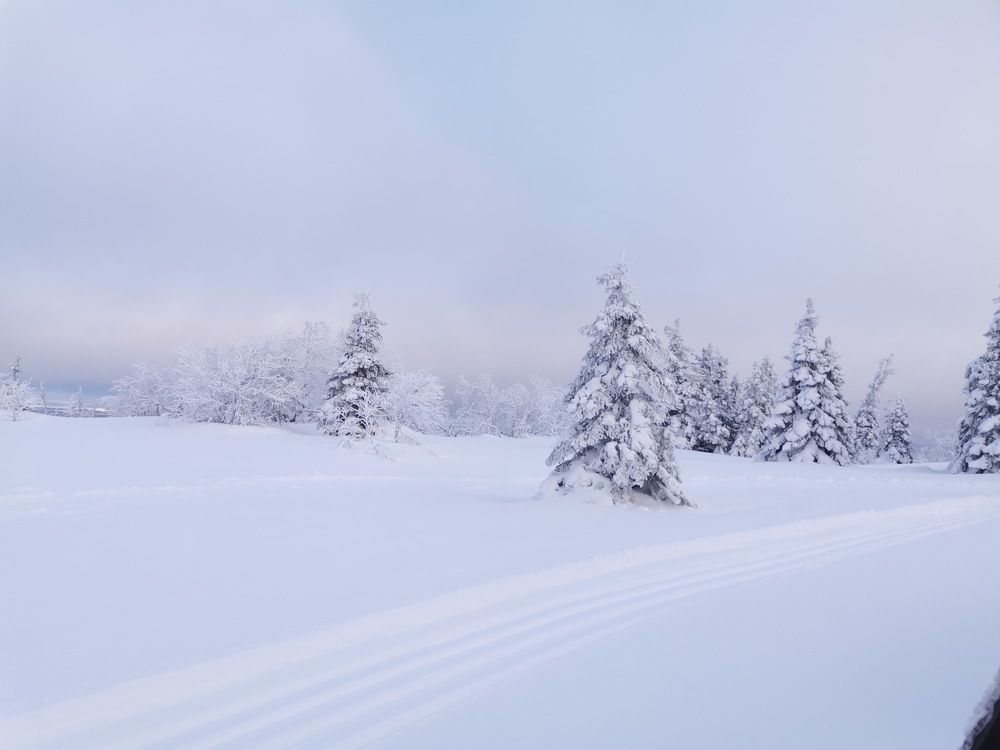 Photograph by Ирина Садовникова