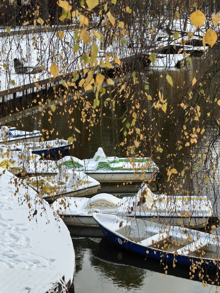 Photograph by Ольга Зимарина