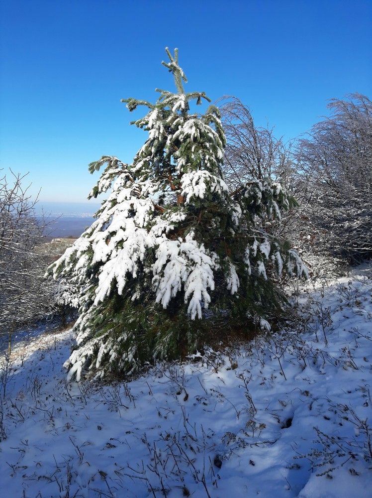 Photograph by Галина Глазкова