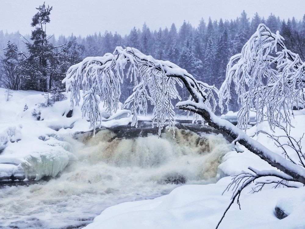 Photograph by Ирина Садовникова
