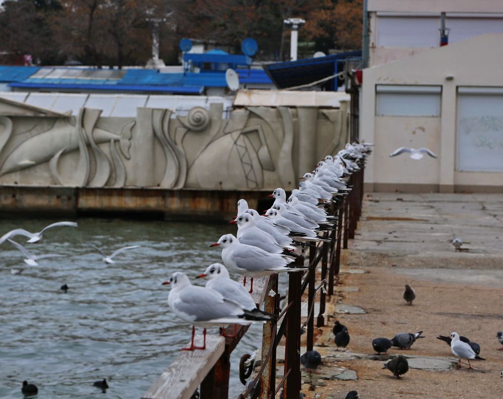 Photograph by Алексей Хазов