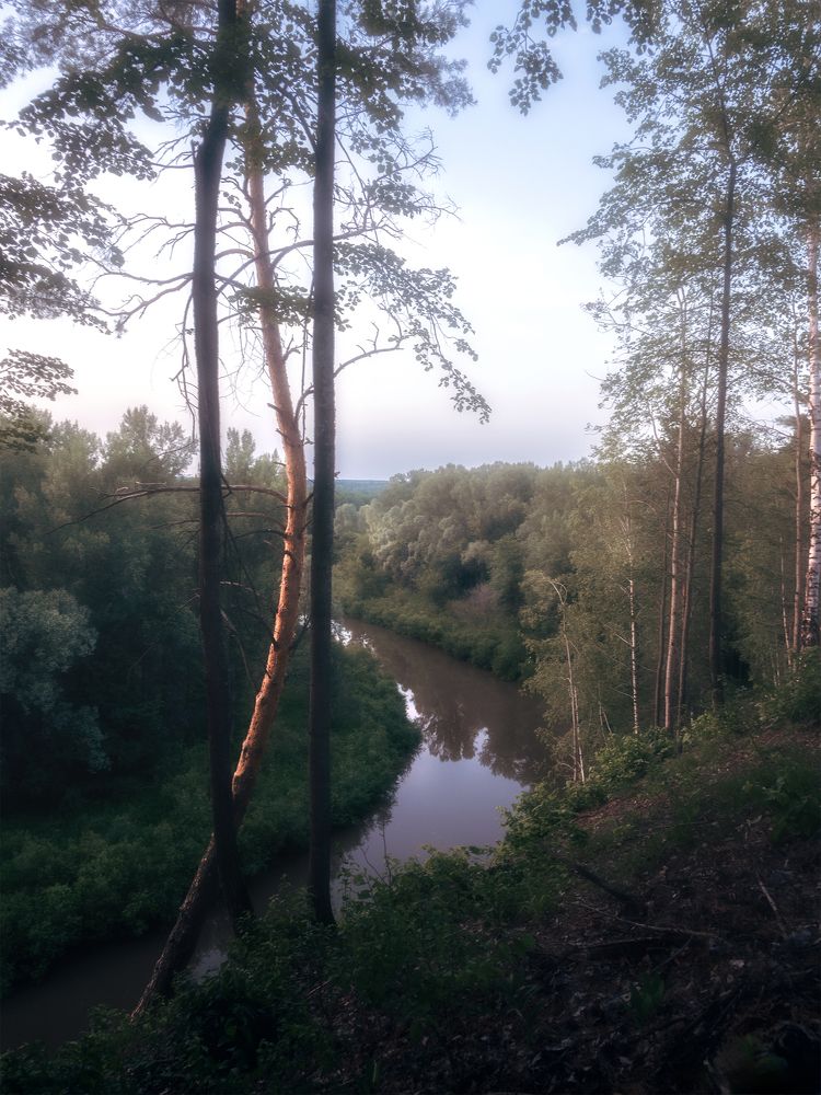 Photograph by Nephotograph