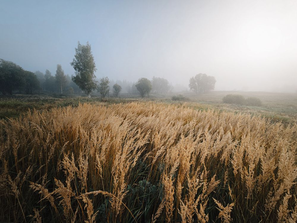 Photograph by Иван Клейн