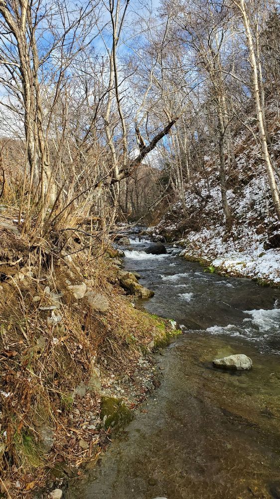 Photograph by Антон