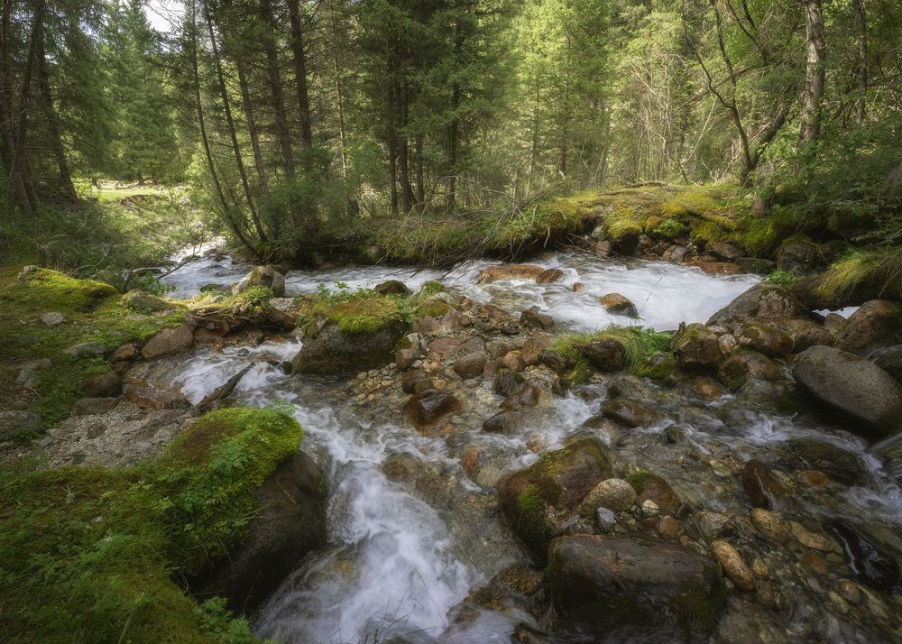 Фотография автора Татьяна Добровольская
