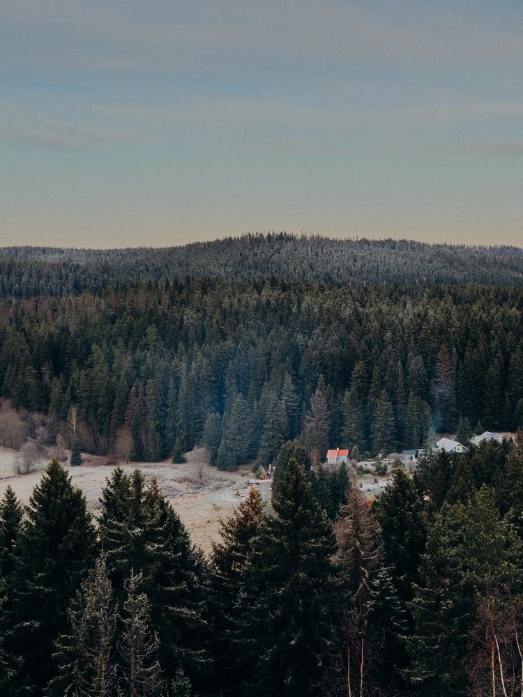 Photograph by Алиса Нежинская