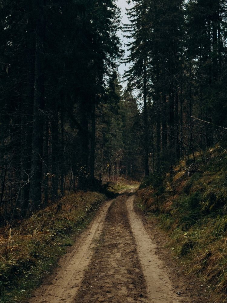 Photograph by Алиса Нежинская