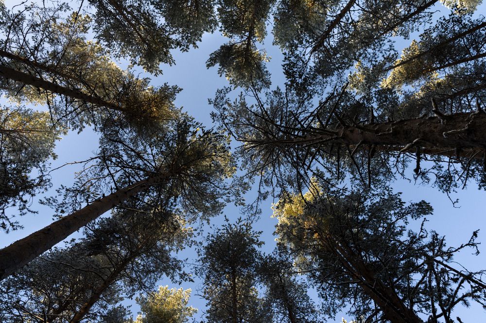 Photograph by Олег Малетин