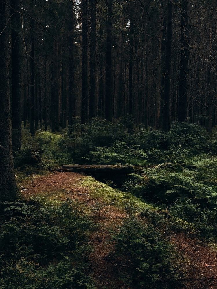 Photograph by Алиса Нежинская