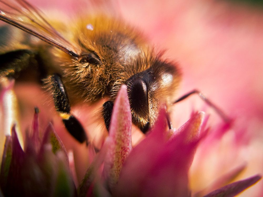 Photograph by Кристина Гоглева