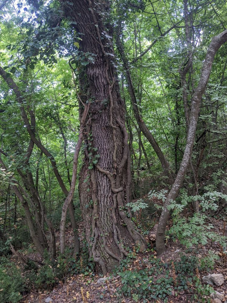 Photograph by Антон