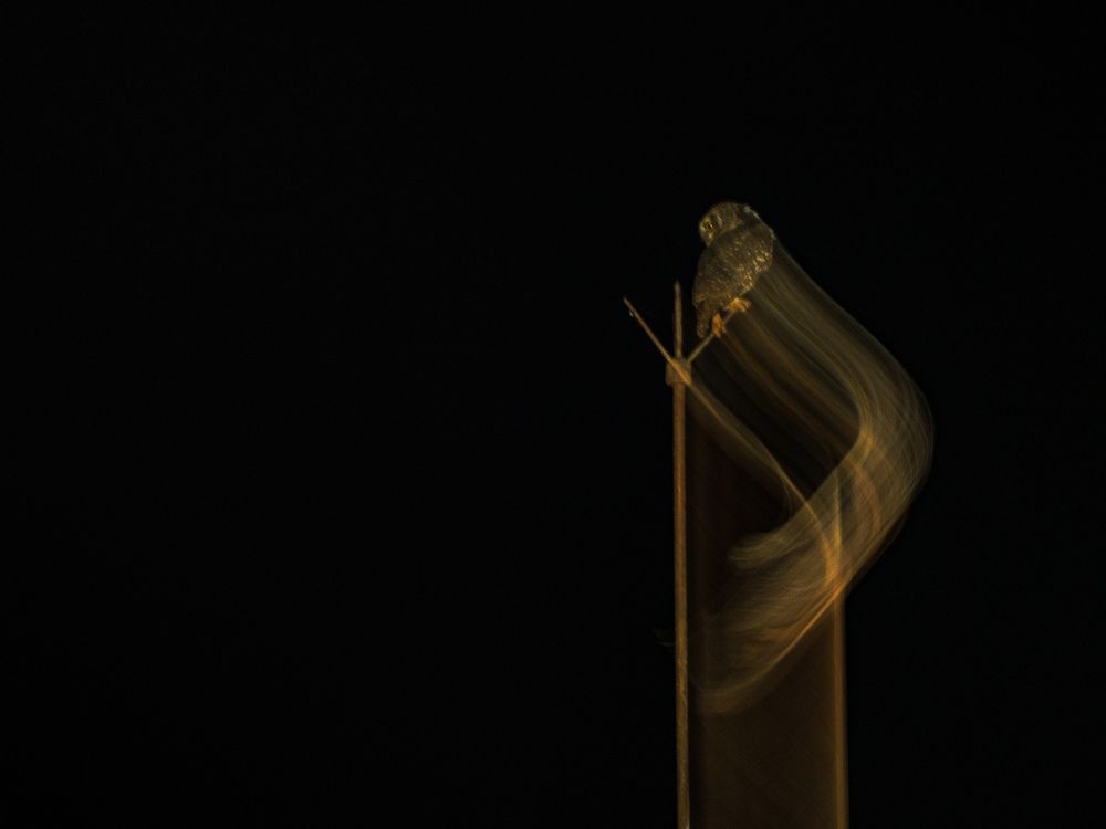 Photograph by Abhisek Bagaria