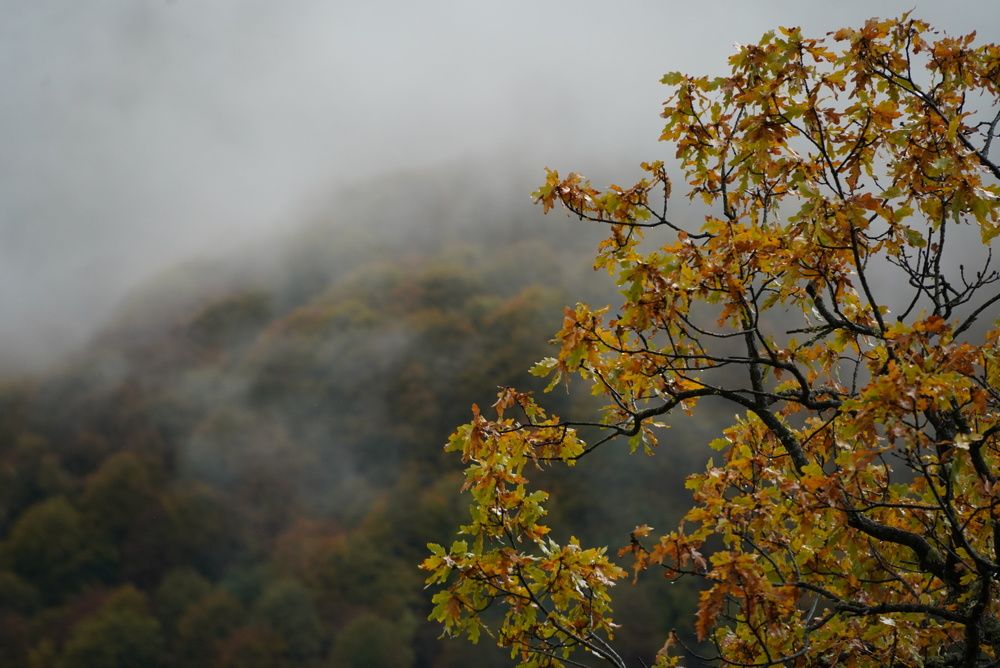 Фотография автора Анастасия Зайчуковская