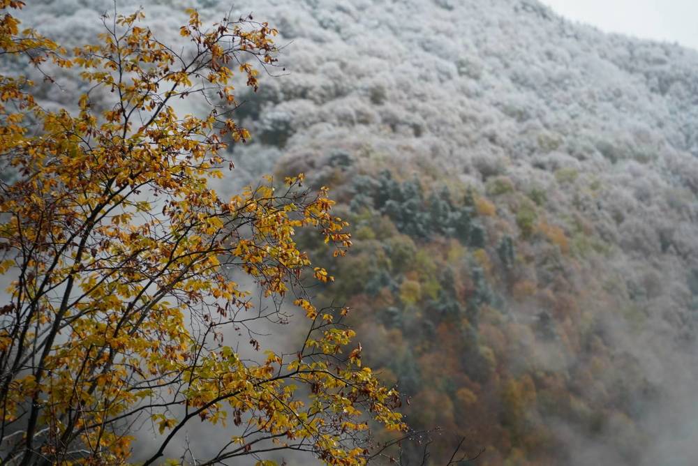 Фотография автора Анастасия Зайчуковская