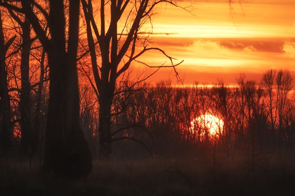 Photograph by Nephotograph