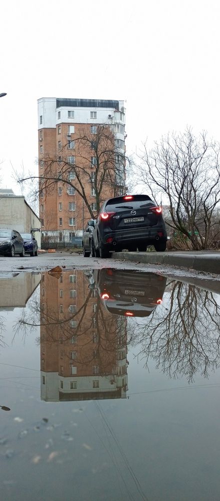 Фотография автора Аркадий Коновалов