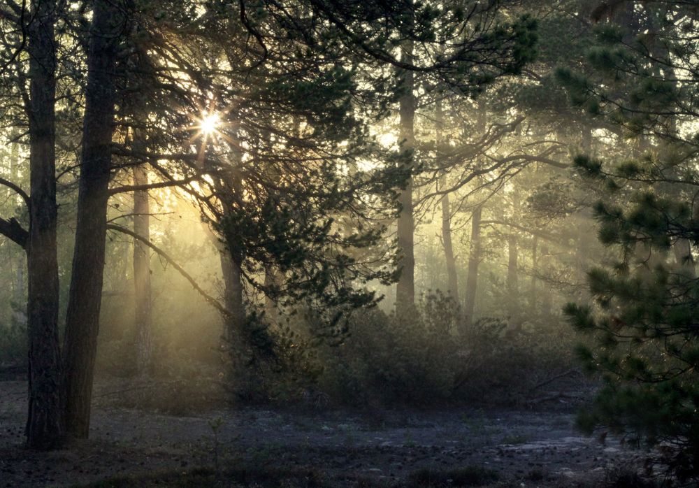 Photograph by Natalia