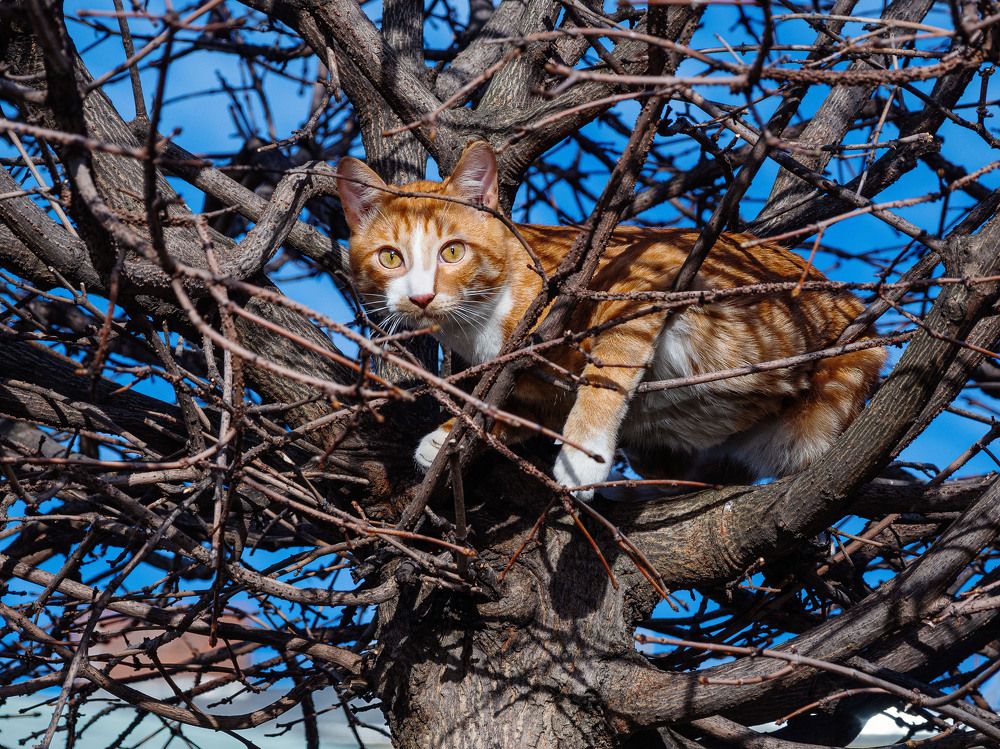 Photograph by Сергей Тузлуков