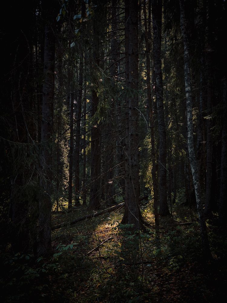 Photograph by Иван Клейн