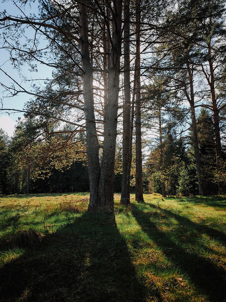 Photograph by Иван Клейн