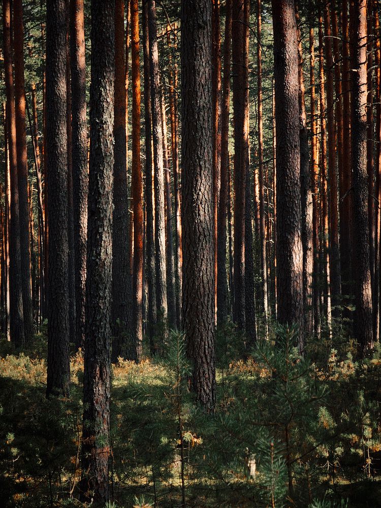 Photograph by Иван Клейн