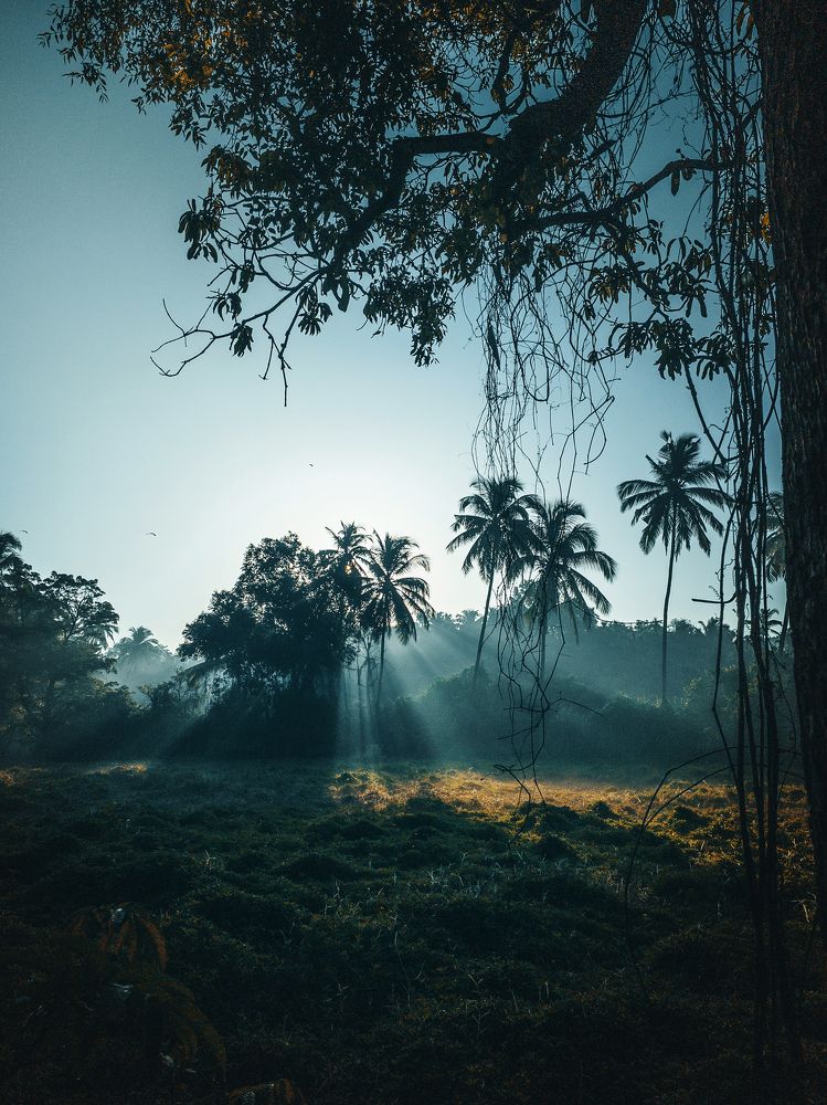 Photograph by Илья Цымбал