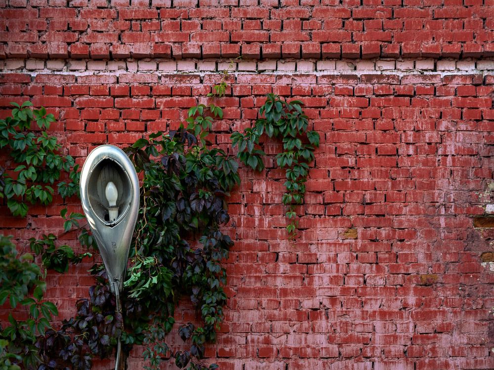 Photograph by Сергей Тузлуков