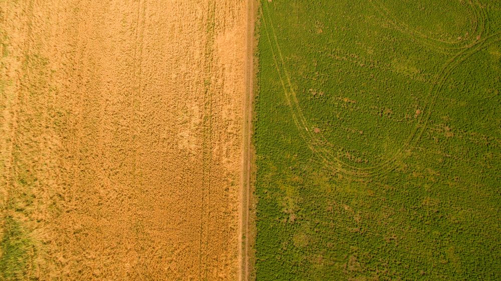 Photograph by Дмитрий Юдин