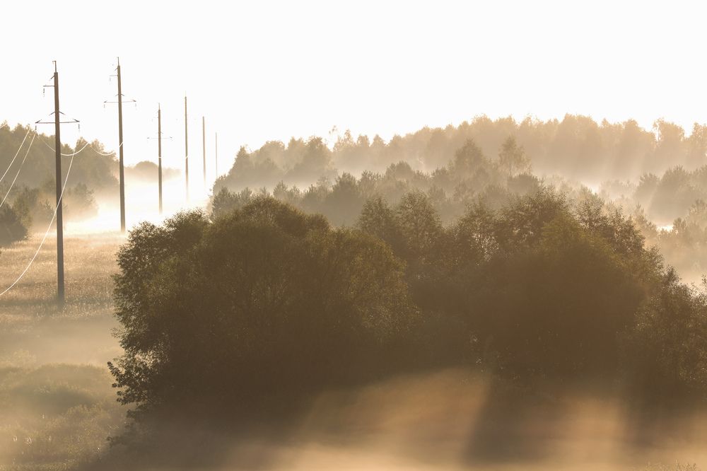 Photograph by Сергей Игнатьев