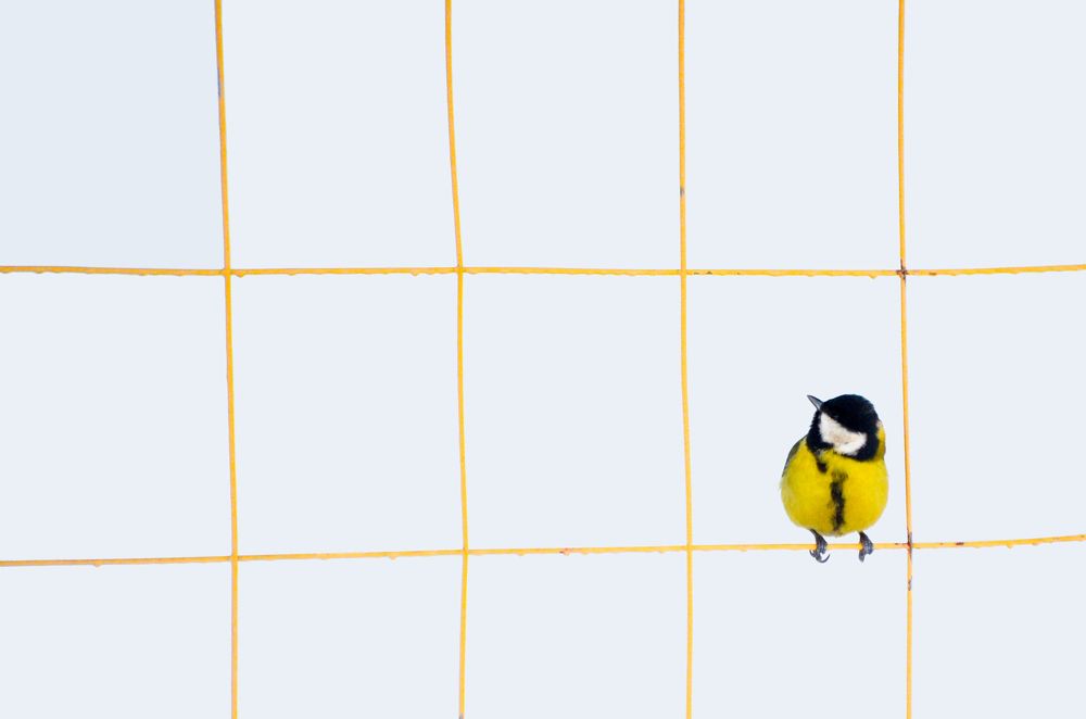 Photograph by Татьяна Герасимцева