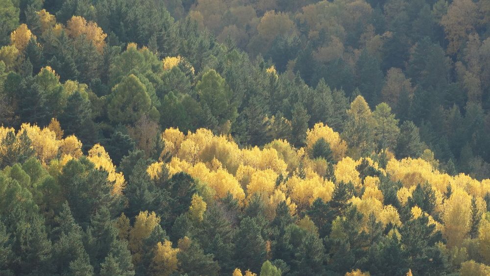 Photograph by Данил Фадеев