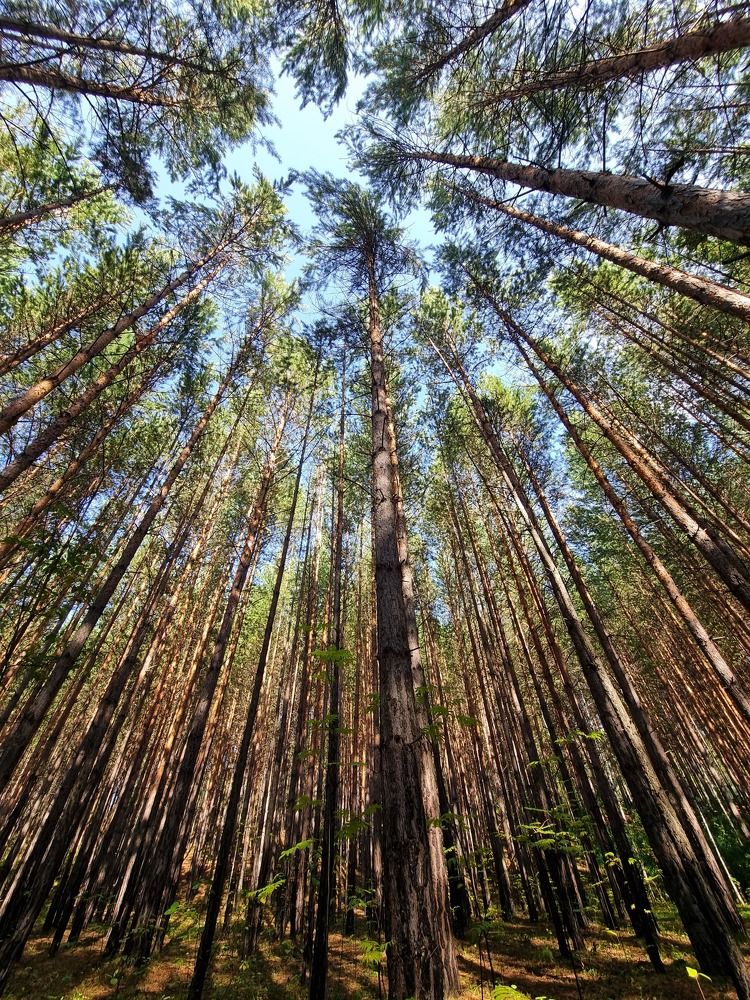 Photograph by Данил Фадеев