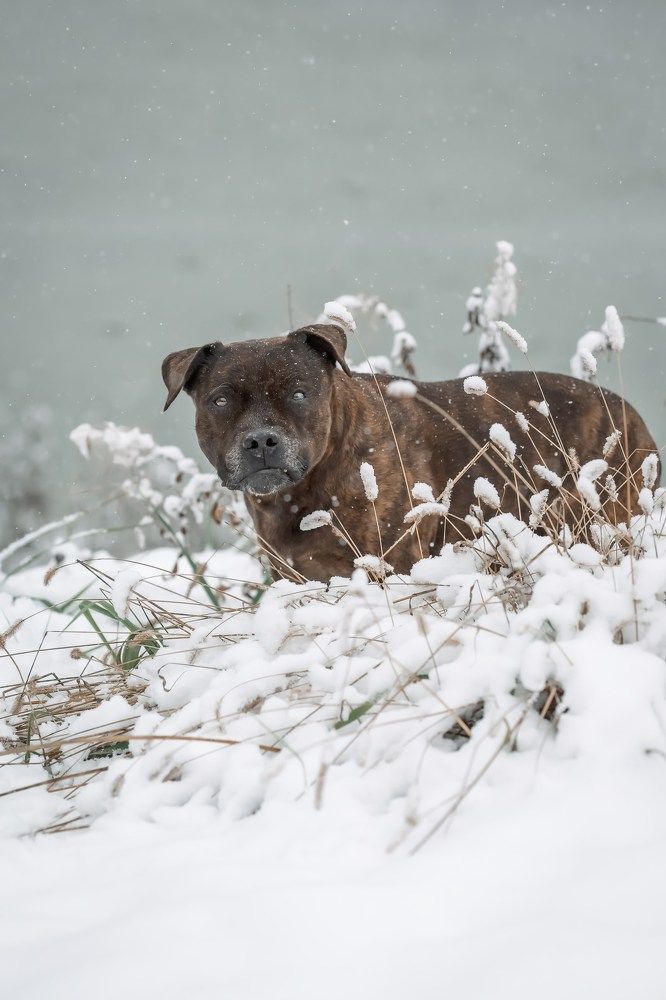 Photograph by Марина Суздаль