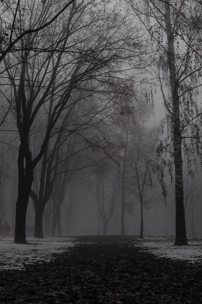 Photograph by Ксения Шилина