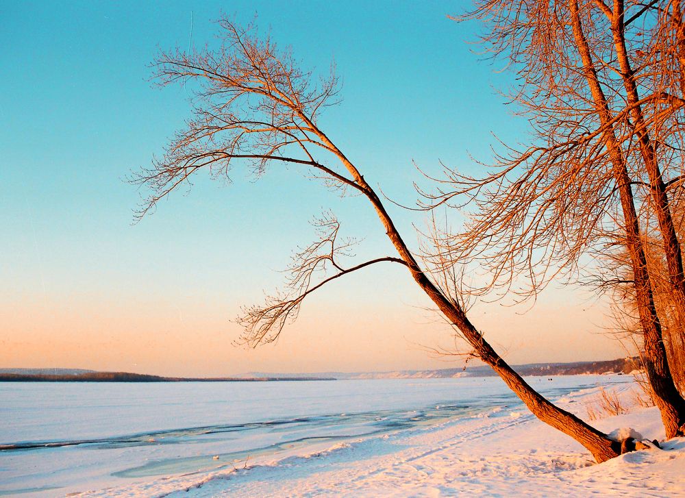 Photograph by Vitaliy Saposhnikov