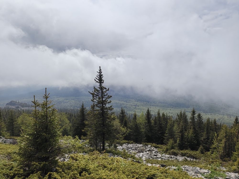 Photo #11786664