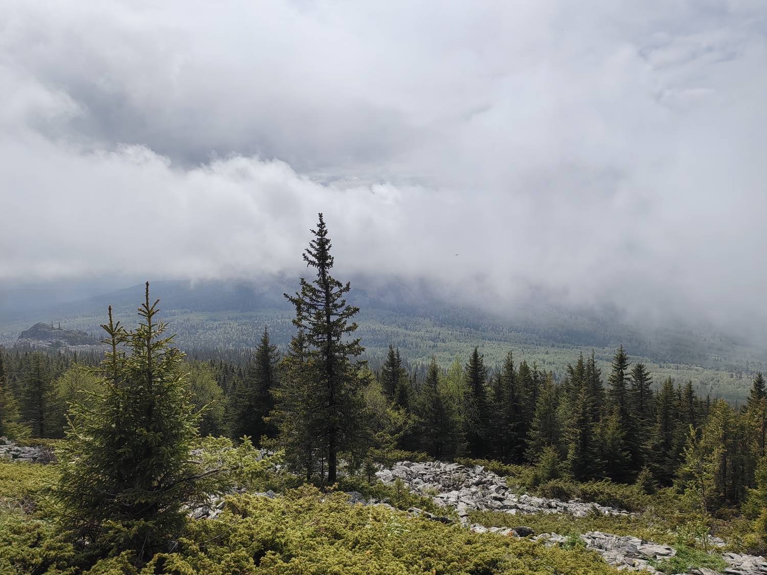 Photo #11786664
