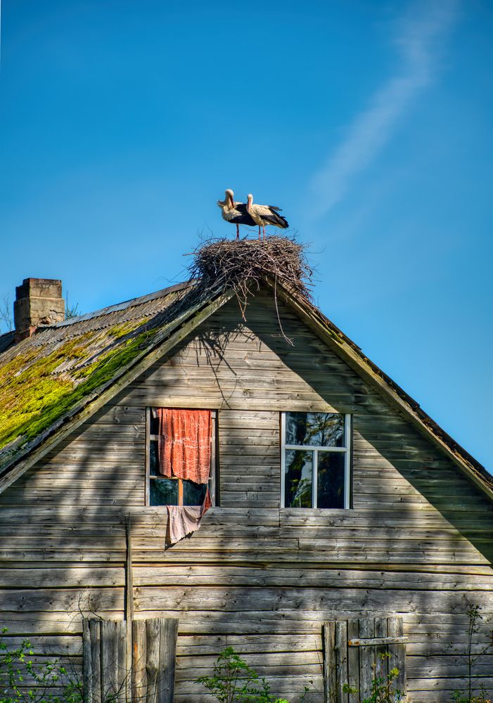 Photograph by Kulikova Albina