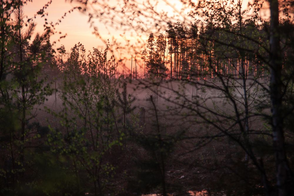 Photograph by Дарья Улюсова