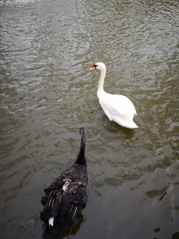 Photograph by София Лысова