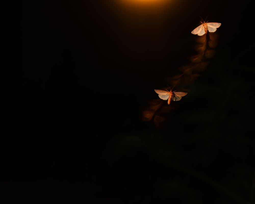 Photograph by Abhisek Bagaria