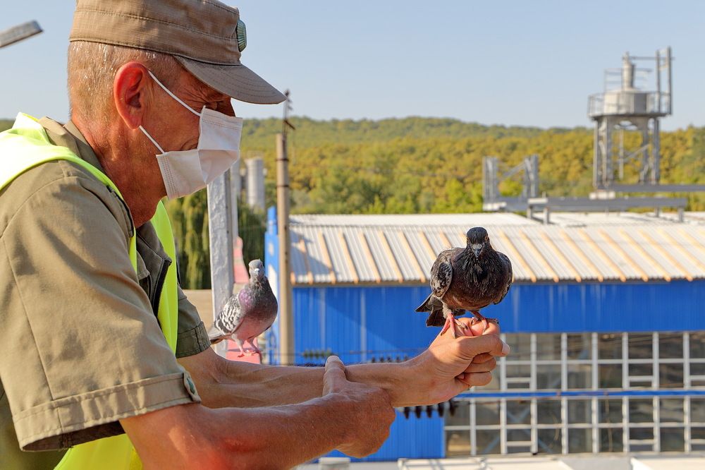 Фотография автора Александр Челмодеев