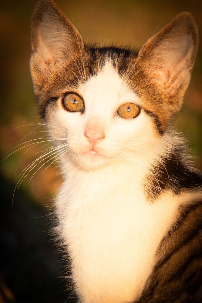 Photograph by FABIANO Manhães