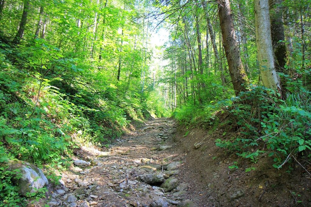 Фотография автора Ser P