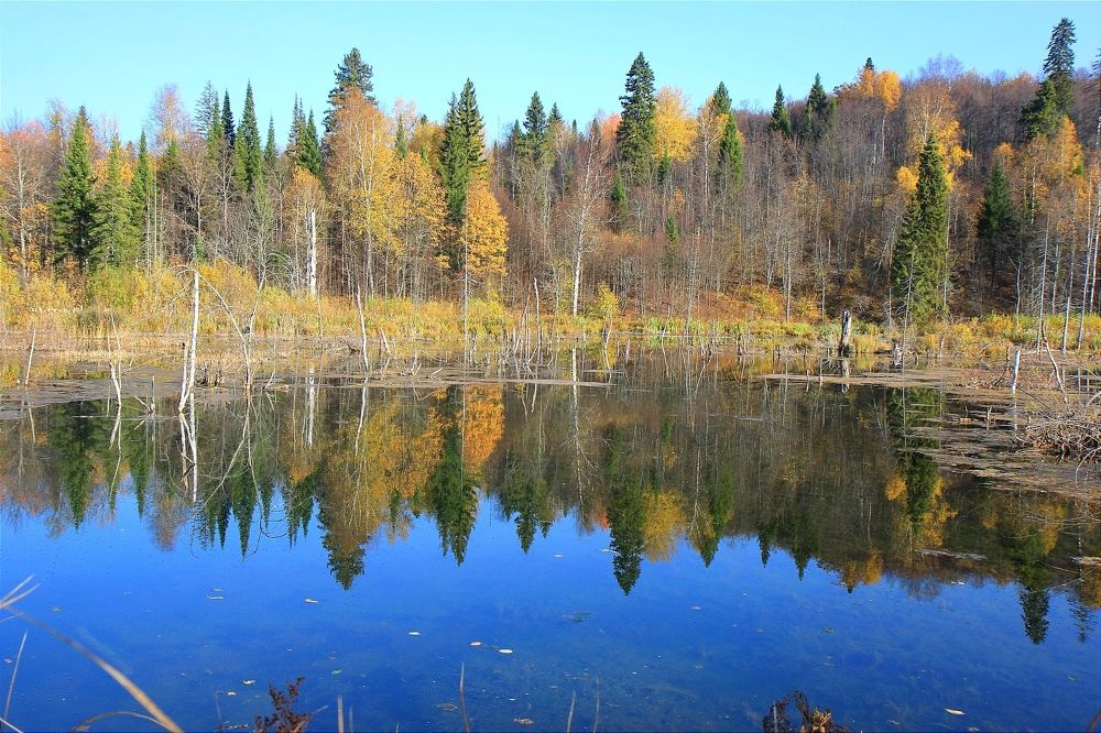 Фотография автора Ser P