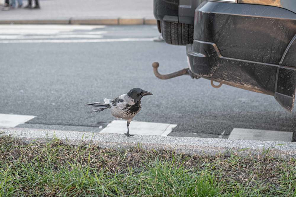 А жизнь продолжается