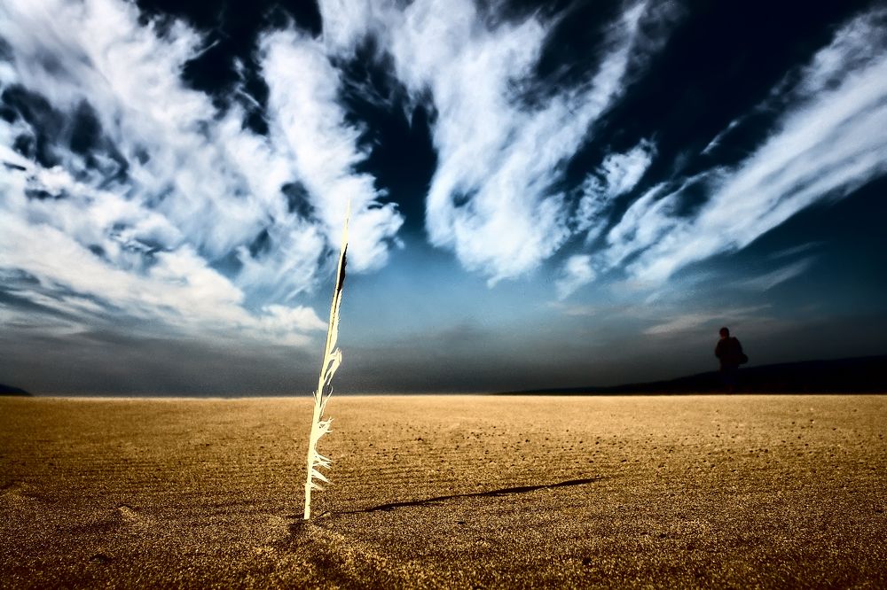 Фотография автора Владислав Шерман