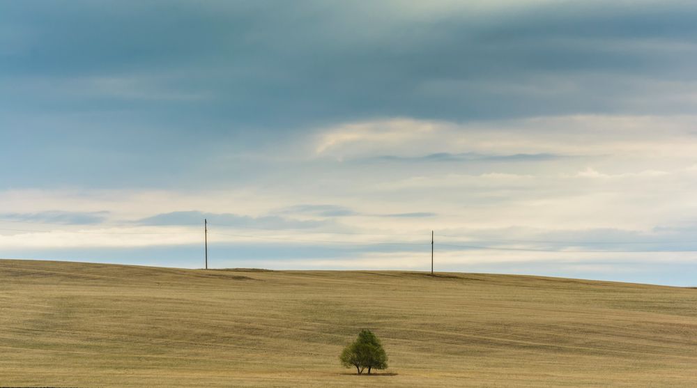 Фотография автора Владислав Шерман