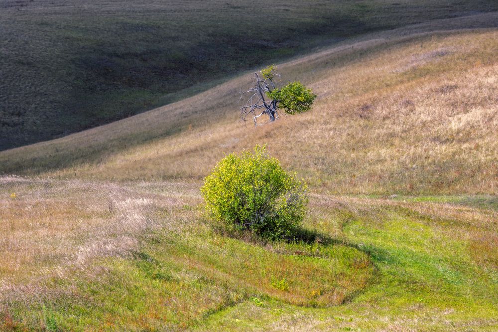 Фотография автора Владислав Шерман