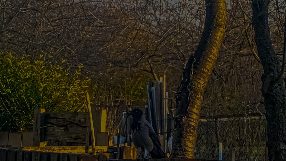 Фотография автора Mario Mihaldinec